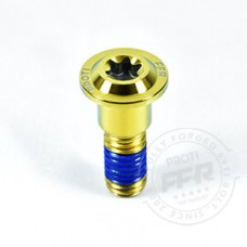 Proti M8 Universal Bolt M8L25-OTB06 x1
